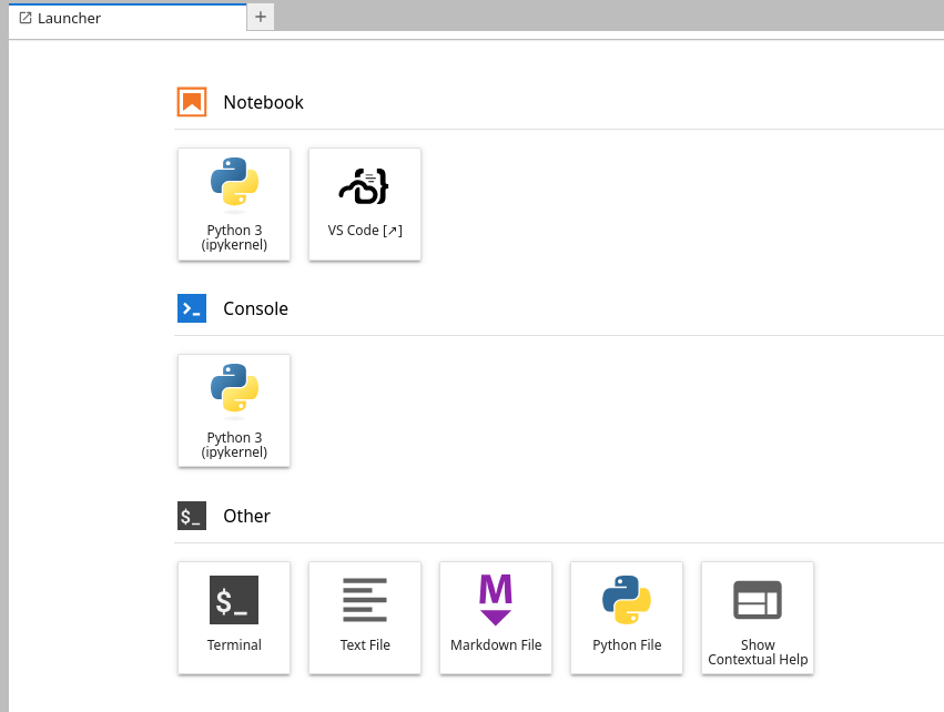 Example of launcher icon for VS Code in Jupyter Lab.